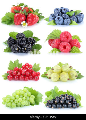 Sammlung Beeren Erdbeeren, Trauben Trauben Heidelbeeren Himbeeren Johannisbeeren Früchte Stockfoto