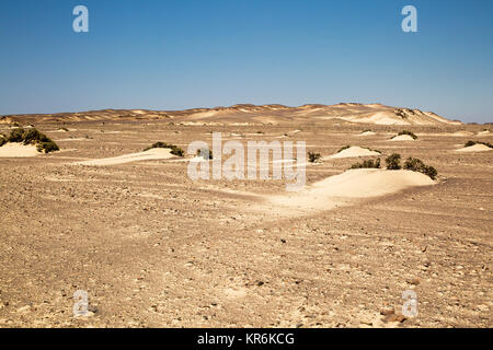 Sanddünen an der Skelettküste Namibias Stockfoto