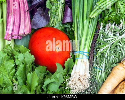 Blumensträuße frisch grün und rote Tomaten Stockfoto