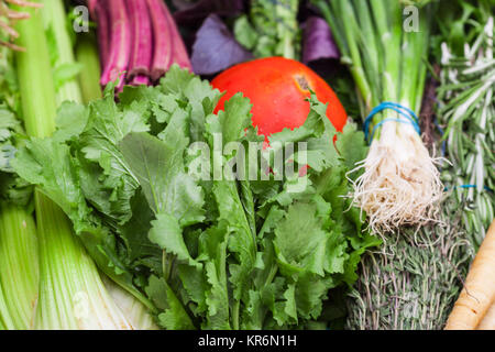 Blumensträuße frisch grün Close up Stockfoto