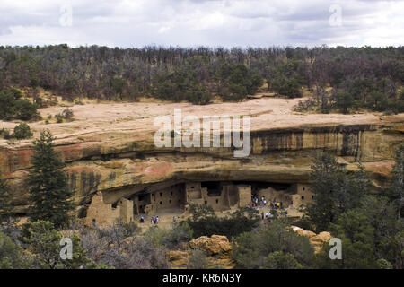 CLIFF PALACE, Mesa Verde National Park, Colorado Stockfoto