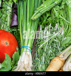 Blumensträuße frisch green stuff Nahaufnahme Stockfoto