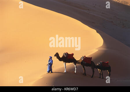 Hohe Betrachtungswinkel der Mann drei Kamele durch die Wüste. Stockfoto