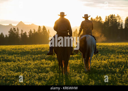 Zwei Cowboys reiten in einer Wiese Landschaft bei Sonnenuntergang. Stockfoto