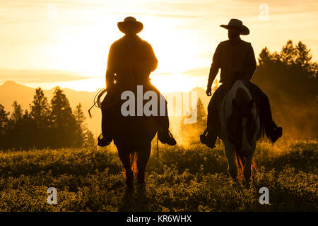 Zwei Cowboys reiten in einer Wiese Landschaft bei Sonnenuntergang. Stockfoto