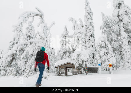 Ansicht der Rückseite des Menschen auf dem Weg zu Hütte im Wald mit schneebedeckten Bäumen anmelden. Stockfoto