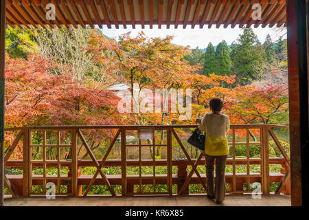 Ansicht der Rückseite stehende Frau auf hölzernen Balkon, mit Blick auf Bäume im Herbst in einem Park. Stockfoto