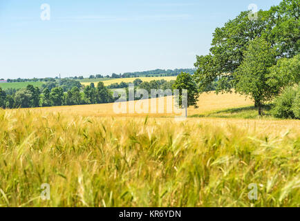 landwirtschaftlichen Landschaft in Hohenlohe, einer Gegend in Süddeutschland Stockfoto