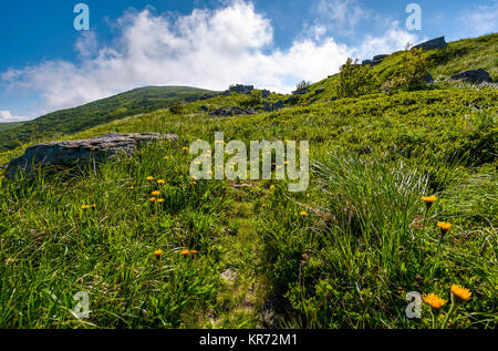 Weg durch Wiese Wiese, riesige Felsbrocken. schönen bergigen Landschaft im Sommer morgen Stockfoto