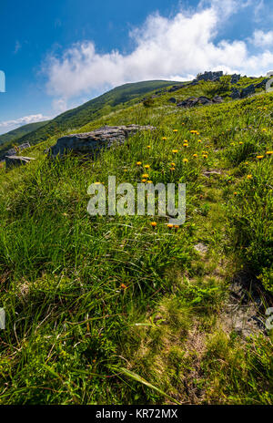 Weg durch Wiese Wiese, riesige Felsbrocken. schönen bergigen Landschaft im Sommer morgen Stockfoto