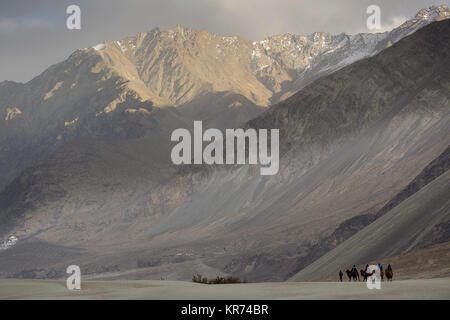 Gruppe von Camel riders Durchquerung der Wüste im Nubra Valley, Ladakh, Jammu und Kaschmir, Indien Stockfoto