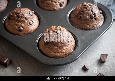 Double Chocolate Muffins mit Schokolade Tropfen in backgeräte. Hausgemachte Schokolade Gebäck zum Frühstück oder Dessert. Stockfoto
