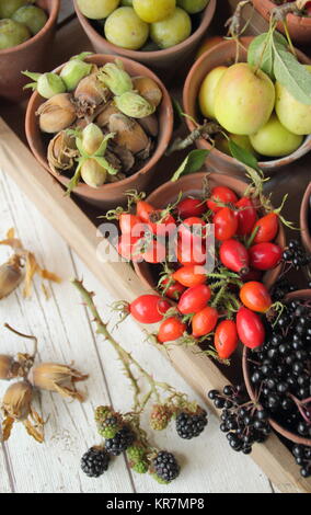 Herbst Obst, Beeren und Nüsse (Holunder, Brombeere, crabapples, cobnuts und Hagebutten), hat aus dem Englischen Hecken in Töpfen und Holz- fach Stockfoto