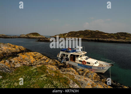 Das Whale Watching Visitors Boat of Sea Surveys of Mull, das auf einer der unbewohnten Inseln, der Coll-Insel in den Inneren Hebriden im Westen Schottlands, vertäut ist. Stockfoto