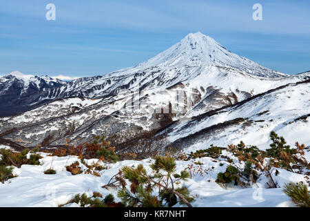 Winterlich verschneite Berglandschaft der Halbinsel Kamtschatka: Schöne Aussicht auf die schneebedeckten Kegel von vilyuchinsky Vulkan. Kamtschatka, Russischen Fernen Osten Stockfoto