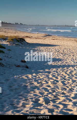 Asilomar State Beach in der Nähe von Pacific Grove Stockfoto