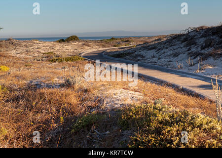 Asilomar State Beach in der Nähe von Pacific Grove Stockfoto