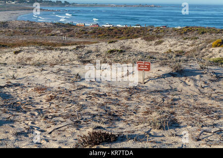 Asilomar State Beach in der Nähe von Pacific Grove Stockfoto