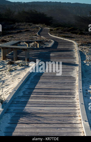 Asilomar State Beach in der Nähe von Pacific Grove Stockfoto