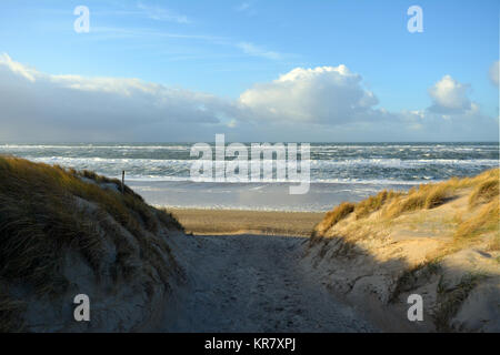 Ansicht zwischen zwei Dünen, mit Strand Gras gewachsen, in der Nordsee Strand auf der Insel Texel. Holland. Europa. Stockfoto