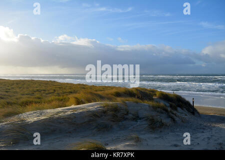 Ansicht zwischen zwei Dünen, mit Strand Gras gewachsen, in der Nordsee Strand auf der Insel Texel. Holland. Europa. Stockfoto