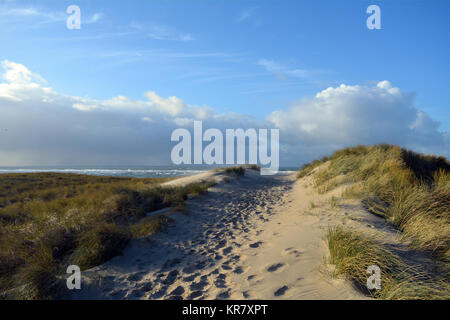 Ansicht zwischen zwei Dünen, mit Strand Gras gewachsen, in der Nordsee Strand auf der Insel Texel. Holland. Europa. Stockfoto