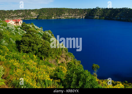 Das Blue Lake, Mount Gambier, South Australia, Australien Stockfoto