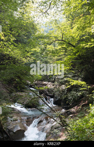 Kleiner Wasserfall in Nishizawa Tal, Yamanashi Präfektur, Japan Stockfoto