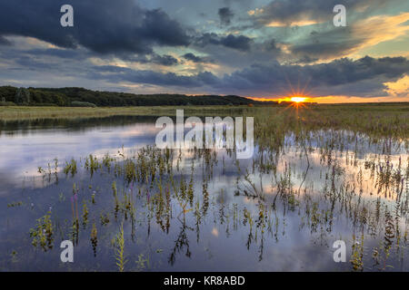 Dunkle Landschaft Bild der untergehenden Sonne in Fluss Vorland mit schweren Wolken in den Sumpfgebieten des Rheins in der Nähe von Arnheim, Betuwe, Niederlande Stockfoto