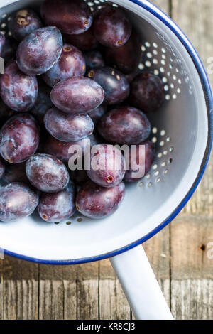 Frische Pflaumen aus dem Garten in Sieb. Stockfoto