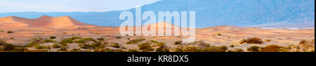 Mesquite Dünen in der Morgendämmerung im Death Valley Stockfoto