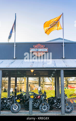 Harley Davidson shop Front in Southampton mit drei Harley Davidson Motorräder auf Anzeige, England, Großbritannien Stockfoto