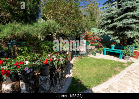 Rot Neu Guinea Impatiens Blumen in Töpfe Stockfoto