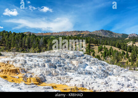 Mammoth Hot Springs Terrasse Landschaft Stockfoto