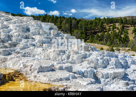 Travertin Terrassen in Yellowstone Stockfoto