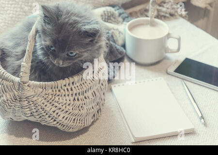 Grau flauschige Kätzchen im Korb, Kaffee und ein Telefon auf eine weiße Fläche Stockfoto