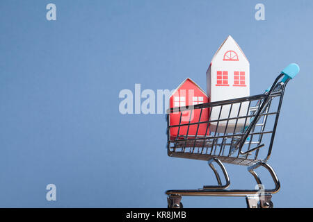 Kauf eines Hauses Konzept. Modell Home in einem Warenkorb Stockfoto