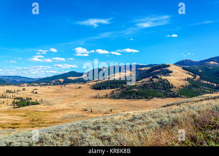 Ebenen und Hügeln im Yellowstone Stockfoto