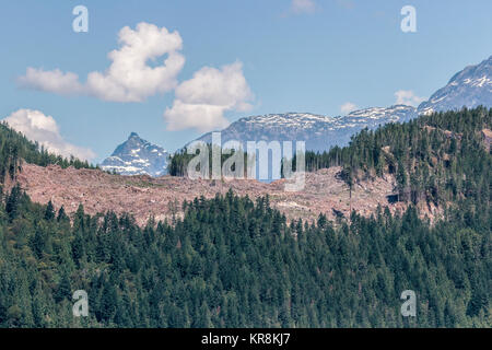 Klares logging Kahle hat Teil an einem steilen Hang in Jervis Inlet, British Columbia. Im Hintergrund sind Gipfel der Coast Mountain Range. Stockfoto