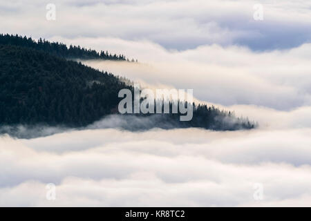 Ukraine, Gebiet, Bezirk Rakhiv, Karpaten, Chornohora, Nebel über Berge Stockfoto