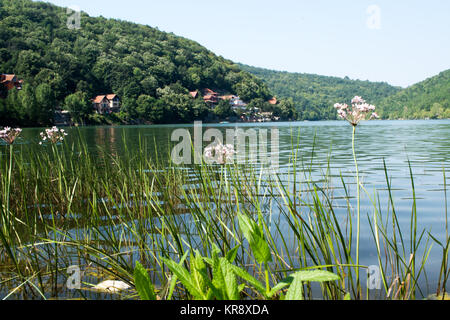 Schuss von Bovan See in der Nähe von Sokobanja spa Stockfoto