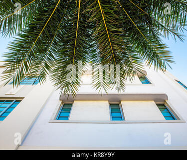 Palme und Gebäude im Art-Deco-Stil in South Beach Miami, Florida Stockfoto