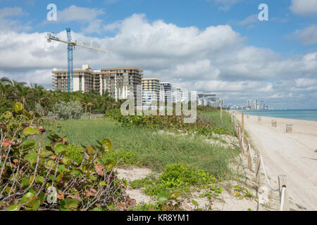 Miami Beach Florida North Shore Bibliothek Zweig Innerhalb Veranstaltung Erzahler Storytelling Geschichte Zeit Frau Kostum Handeln Sprechen Junge Madchen Kinder Horen Stockfotografie Alamy