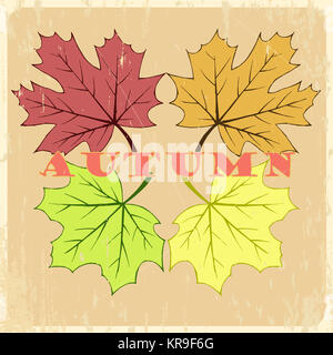 Handgezeichnete Vektor Herbst Blätter Stockfoto