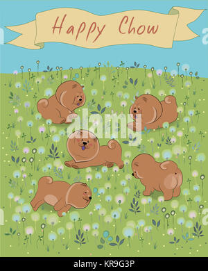 Glücklich Chow-chow auf dem blühenden Feld Stockfoto