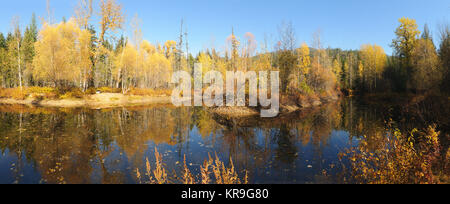 Herbst Farben um Moose Lake im nördlichen Idaho Stockfoto