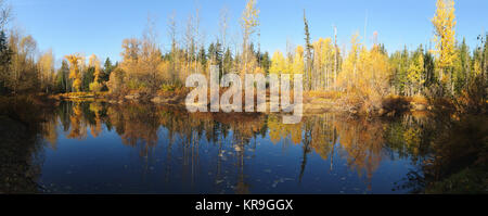 Herbst Farben um Moose Lake im nördlichen Idaho Stockfoto