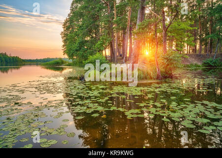 Sonnenuntergang über Waldsee Stockfoto