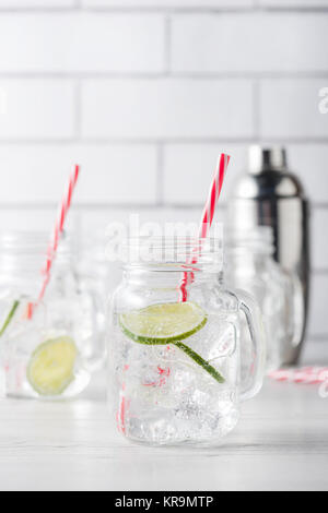 Frische hausgemachte Gin Tonic cocktails Stockfoto