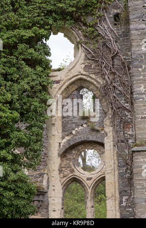 Abtei von Villers-La-Ville Stockfoto